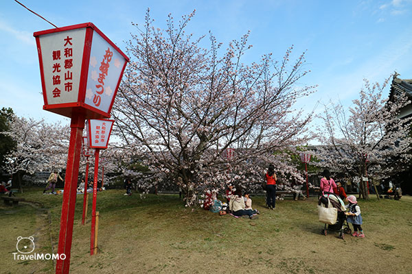 Ruins of Koriyama Castle 郡山城跡