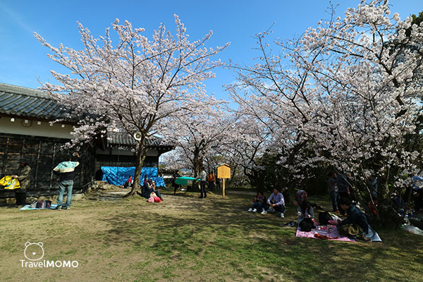 Ruins of Koriyama Castle 郡山城跡
