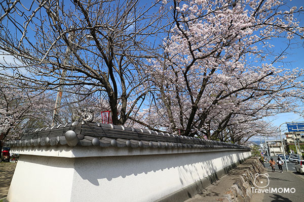 Ruins of Koriyama Castle 郡山城跡