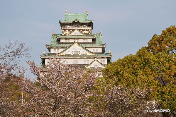 Nishinomaru Garden in Osaka Castle Park 大阪城公園西之丸庭園