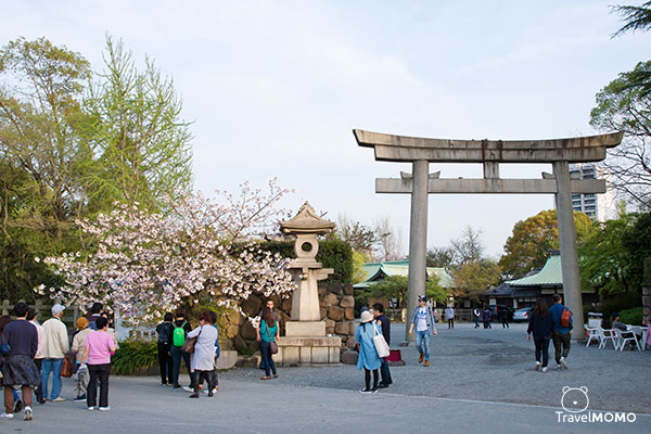 大阪城公園賞櫻 Cherry blossom in Osaka Castle Park
