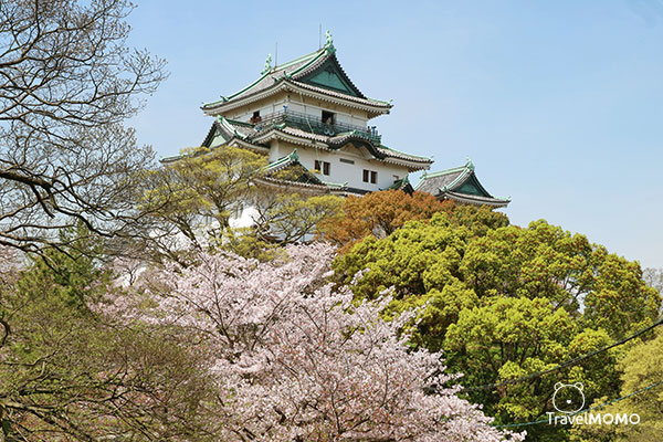 Wakayama Castle 和歌山城