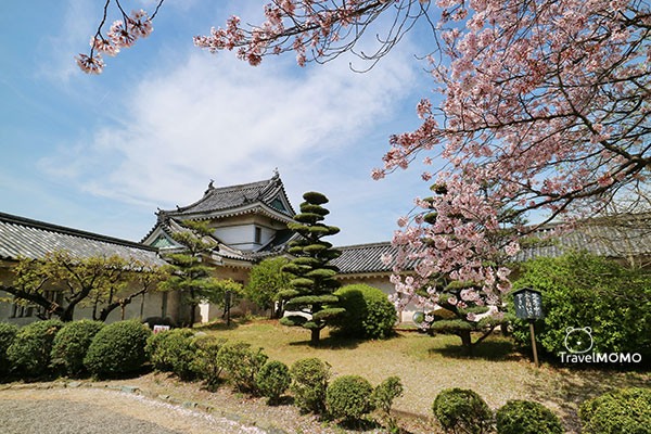 Wakayama Castle 和歌山城