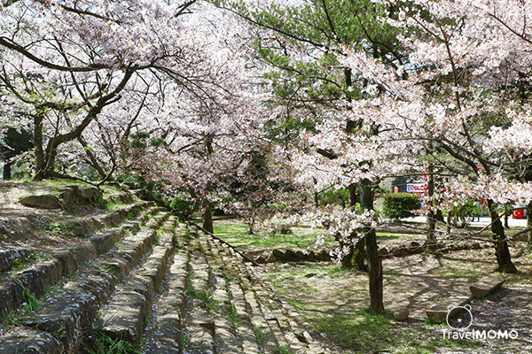 Wakayama Castle 和歌山城