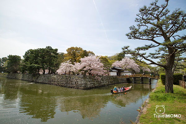 Wakayama Castle 和歌山城