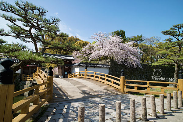 Wakayama Castle 和歌山城