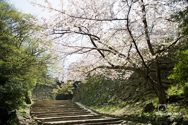 Wakayama Castle 和歌山城