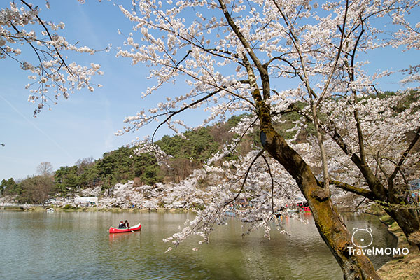 Garyukoen in Nagano, Japan 日本長野臥龍公園