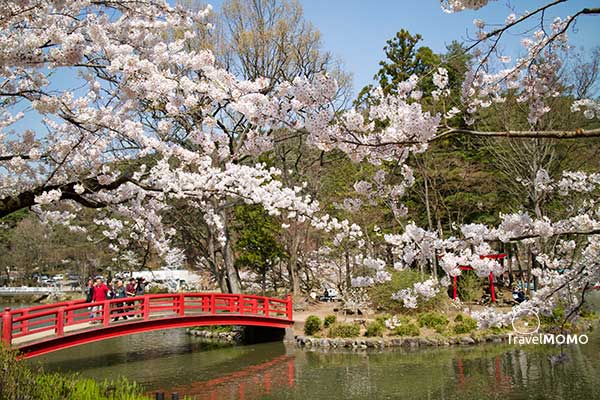 Garyukoen in Nagano, Japan 日本長野臥龍公園
