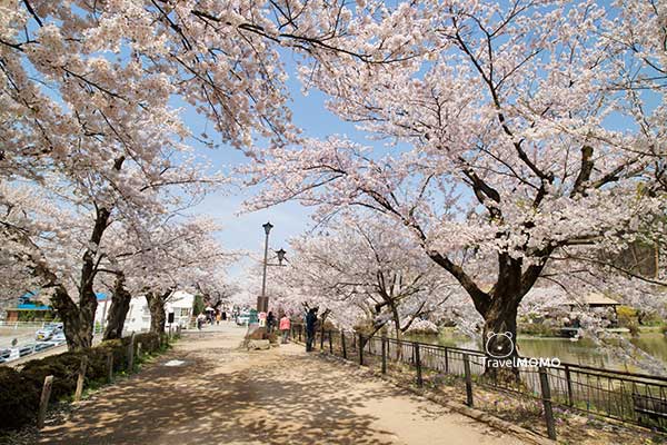 Garyukoen in Nagano, Japan 日本長野臥龍公園