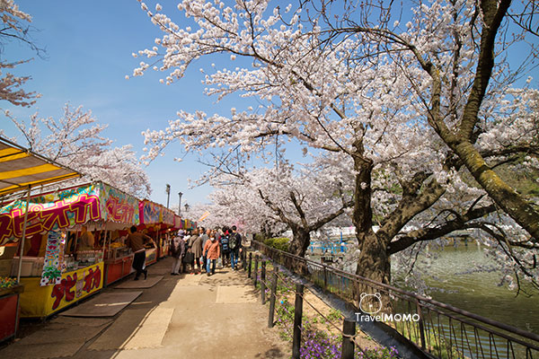Garyukoen in Nagano, Japan 日本長野臥龍公園