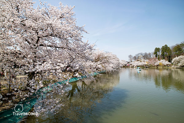 Garyukoen in Nagano, Japan 日本長野臥龍公園