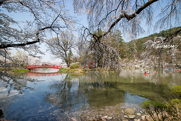 Garyukoen in Nagano, Japan 日本長野臥龍公園