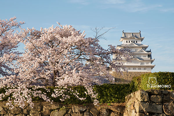 Himeji Castle 姬路城