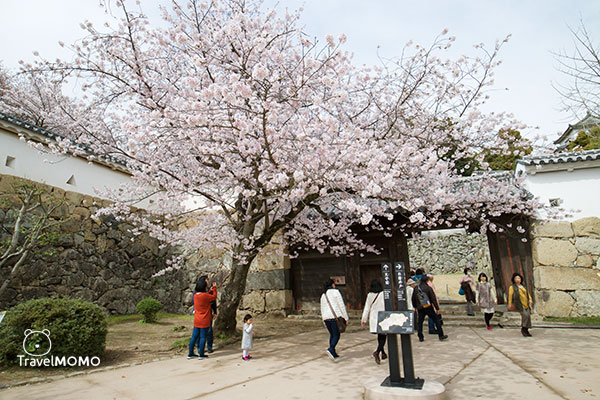 Himeji Castle 姬路城