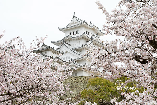 Himeji Castle 姬路城
