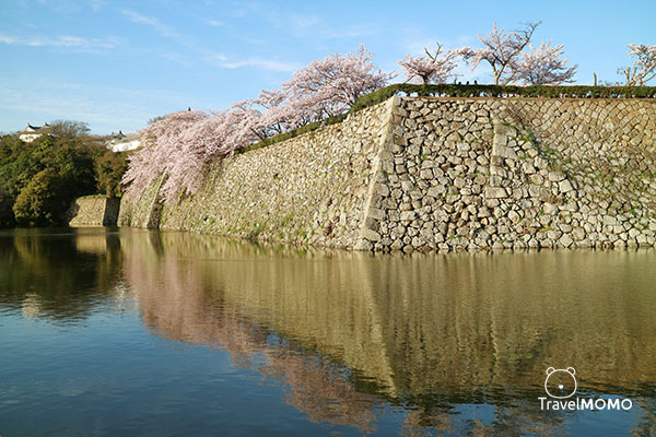 Himeji Castle 姬路城