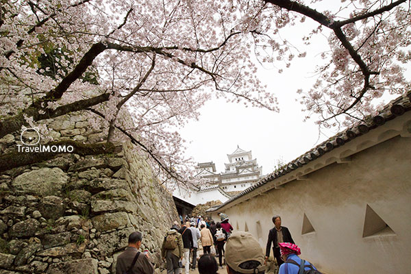 Himeji Castle 姬路城
