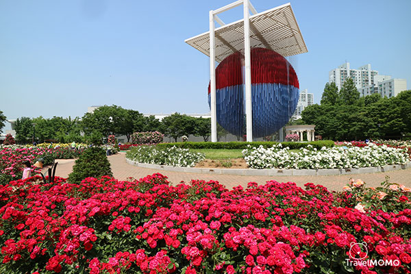 Rose festival at Olympic Park in Seoul  首爾奧林匹克公園玫瑰花節