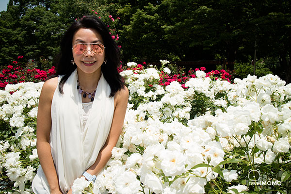 Rose festival at Olympic Park in Seoul  首爾奧林匹克公園玫瑰花節