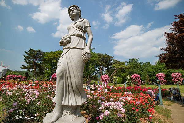 Rose festival in Seoul Grand Park 首爾大公園玫瑰花節