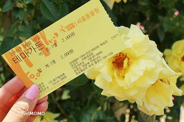 Rose festival in Seoul Grand Park 首爾大公園玫瑰花節