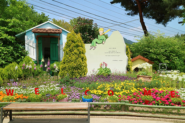 Rose festival in Seoul Grand Park 首爾大公園玫瑰花節