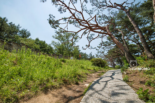 Suwon Hwaseong Fortress 水原華城