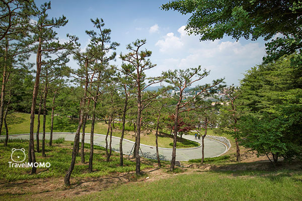 Path downhill of Mount Paldal. 八達山下山步道