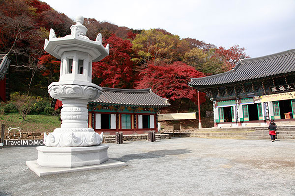 Baekyangsa Temple 白羊寺