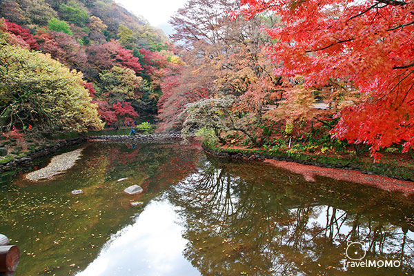 Baekyangsa Temple 白羊寺
