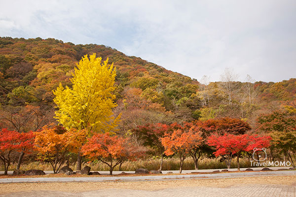 Baekyangsa Temple parking lot