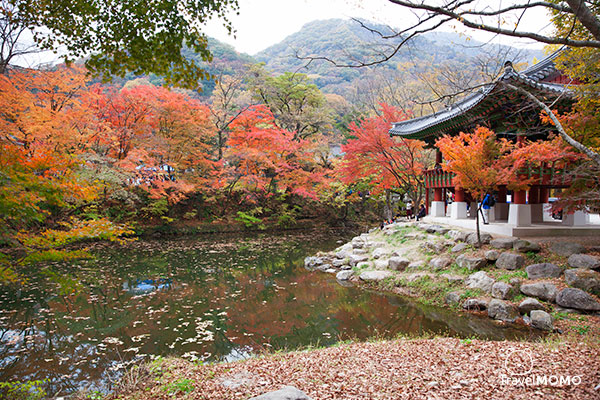 Baekyangsa Temple 白羊寺