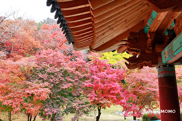 Baekyangsa Temple 白羊寺