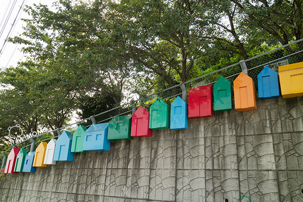Gamcheon Cultural Village 甘川文化村