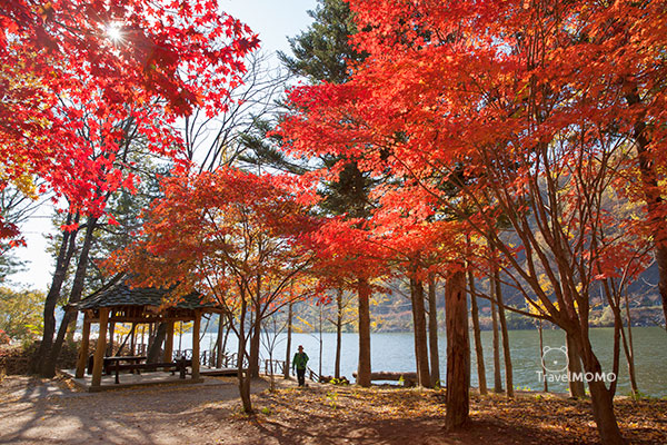 Namiseon Island 春川南怡島