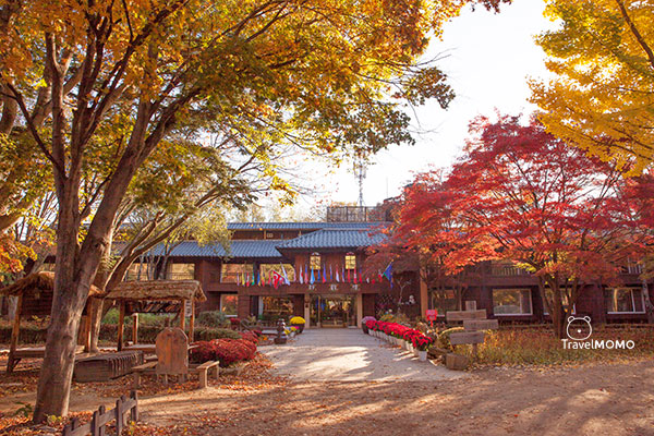 Namiseon Island 春川南怡島