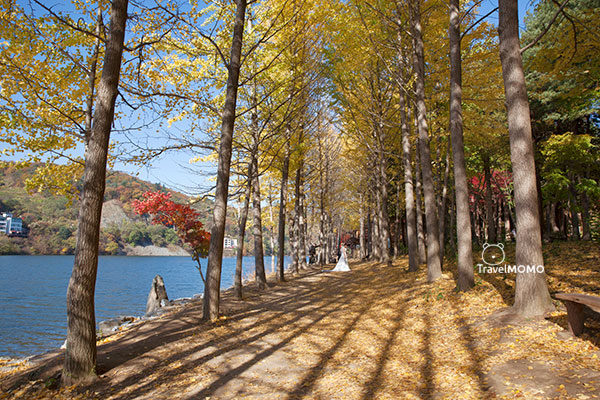 Namiseon Island 春川南怡島