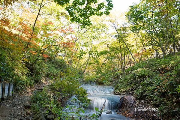Oyunuma Brook 大湯沼川