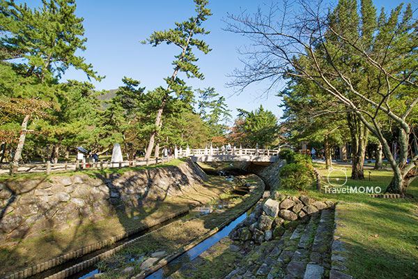 Izumo Taisha 出雲大社
