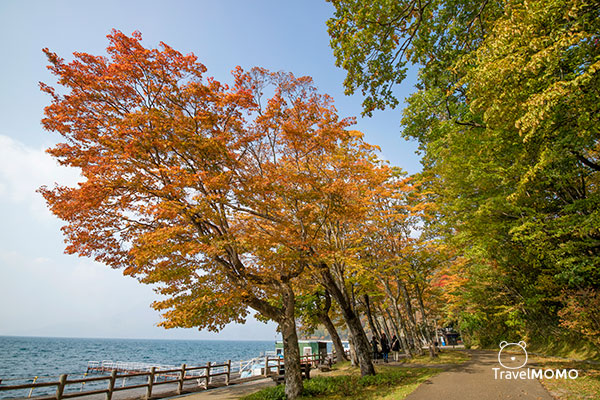 Lake Shikotsu 支笏湖