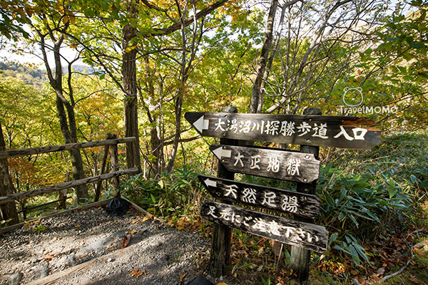 Pathway 步道