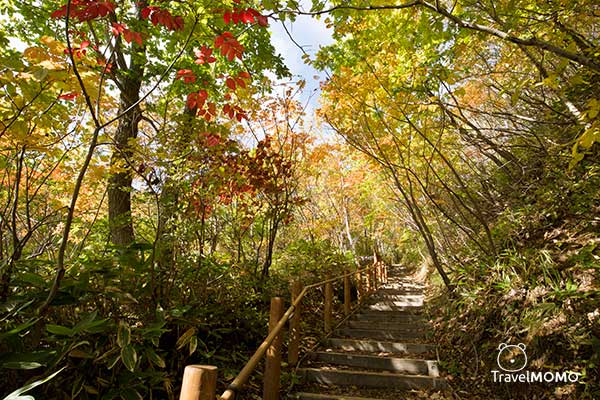 Oyunuma Pathway 大湯沼步道