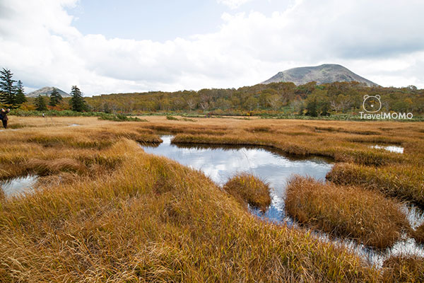 Shinsen Marsh 神仙沼