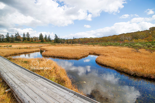 Shinsen Marsh 神仙沼