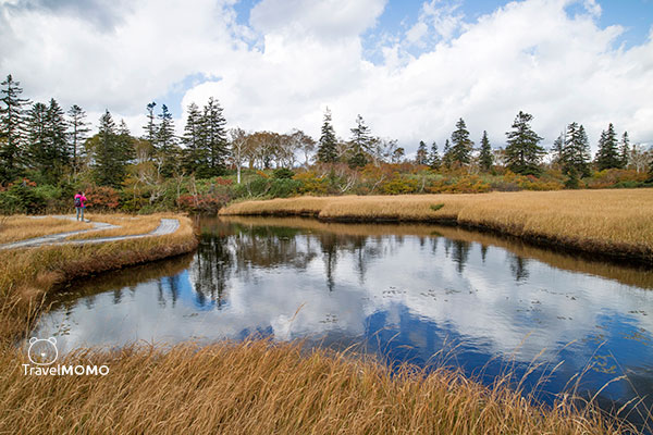 Shinsen Marsh 神仙沼