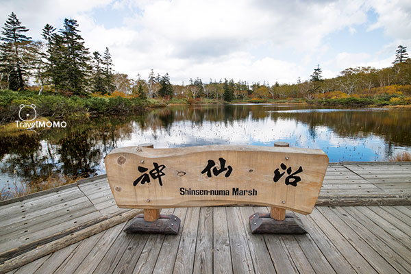 Shinsen Marsh 神仙沼