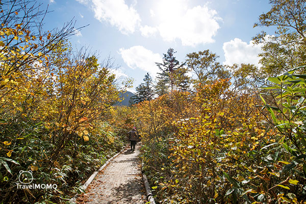 Shinsen Marsh 神仙沼