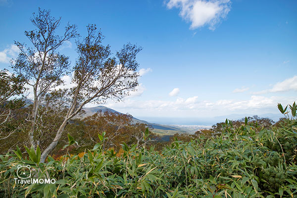Shinsen Marsh 神仙沼