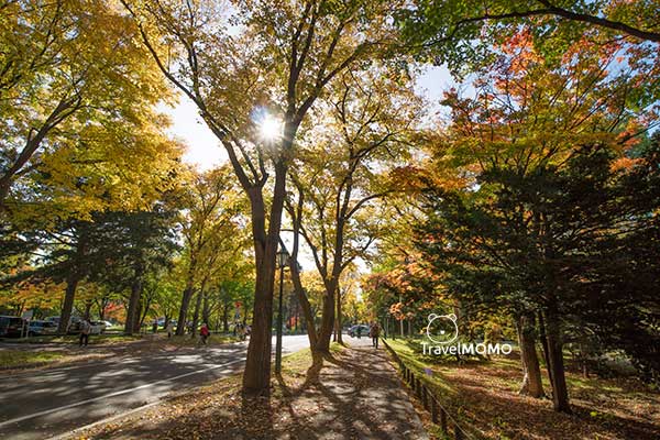 Hokkaido University 北海道大學